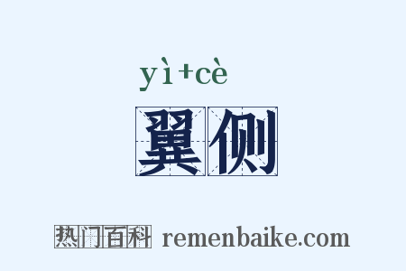 翼侧是什么意思的图片